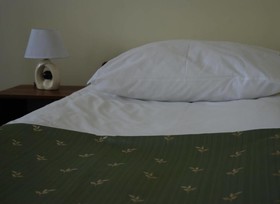 Hostel Phoenix