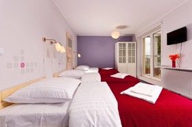 Cilantro Bed - Breakfast