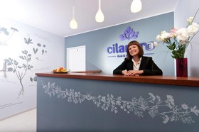 Cilantro Bed - Breakfast