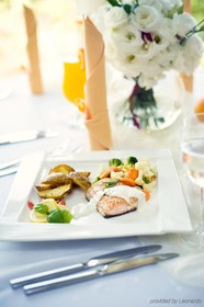Hotel Slask