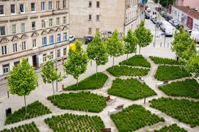 Ksiecia Witolda 43 by Apartamenty Wroc