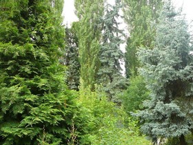 Pokoje Goscinne Sw. Józefa