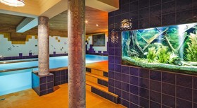 Hotel Czarny Potok