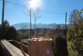 Pod Lipa
