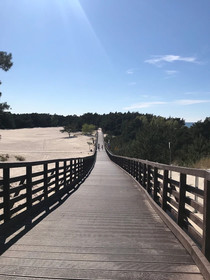 Magnolia Guest House