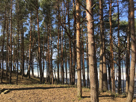 Magnolia Guest House