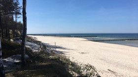 Magnolia Guest House