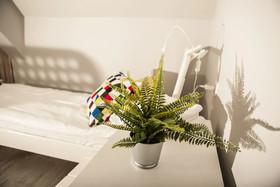 Bi Pi Hostel