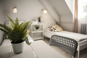Bi Pi Hostel