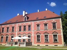 Lezno Palace Airport