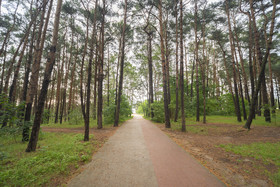 Neptun Park by Little Home
