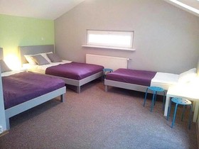 Olive Hostel