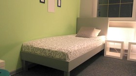 Olive Hostel