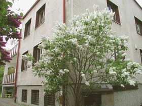 Villa Sart