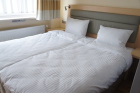 Hostel Bialy Slon