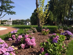 Quadrille Hotel & Spa