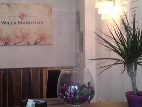 Willa Magnolia