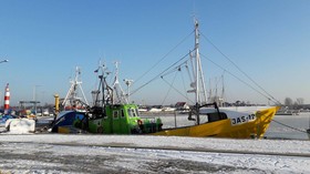 Jastarnia