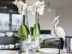 Diune Hotel & Resort