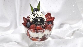Hotel Wellness Medical SPA Unitral