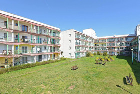 Lion Apartments-Muszelka