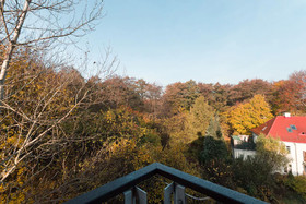 Little Home-Haga
