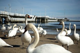 Sheraton Sopot