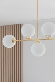 Nautilus by Renters
