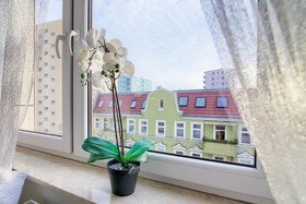 Apartments In Szczecin - Plater
