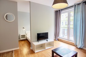 Apartments In Szczecin - Plater