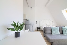 Apartments In Szczecin - Plater