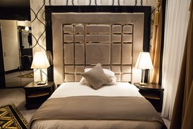 Hotel Dana