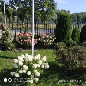 Pokoje Goscinne Przysiolek
