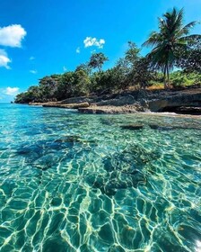 Brisas de Borinquen