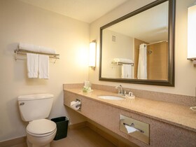 Holiday Inn Mayaguez & Tropical Casino