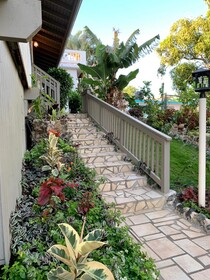 Lazy Parrot Inn