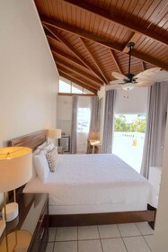Lazy Parrot Inn