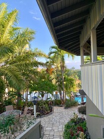 Lazy Parrot Inn
