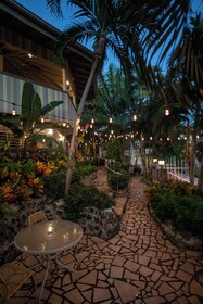 Lazy Parrot Inn