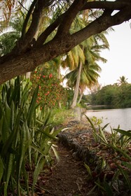 Sea Beach Village
