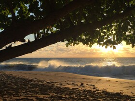 Sea Beach Village