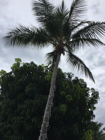 Tres Palmas Inn & Villas
