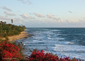 Wave Coast