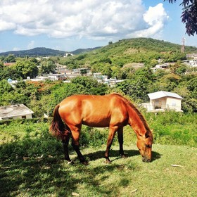 W Retreat & Spa - Vieques Island