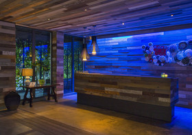 W Retreat & Spa - Vieques Island