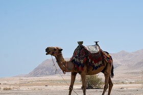 Mantur Almog Dead Sea by Selina