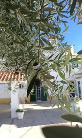 Casa Dos Grilos