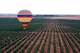 Hotel Rural Vila Gale Alentejo Vineyards