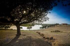 Hotel Rural Vila Gale Alentejo Vineyards