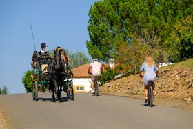 Hotel Rural Vila Gale Alentejo Vineyards